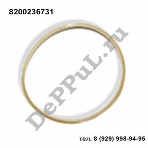 Прокладка дроссельной заслонки Renault Megane II (02-09) | 8200236731 | DEBZ0264