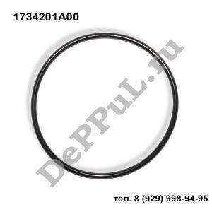 Кольцо уплотнительное Nissan Almera N16 (00-06), Maxima (A33) (00-05), Terrano I | 1734201A00 | DEBZ0300