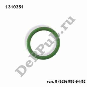 Кольцо уплотнительное Ford Ecosport (13-...) | 1310351 | DEBZ0376