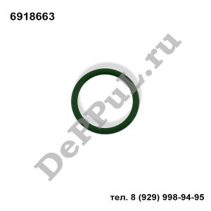 Кольцо уплотнительное трубки кондиционера Ford | 6918663 | DEBZ0497