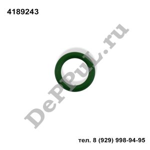 Кольцо уплотнительное Ford | 4189243 | DEBZ0503